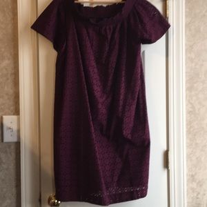 NWT. Beautiful ann Taylor dress. XL. Plum color